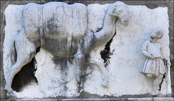 Détail du bas relief du dromadaire